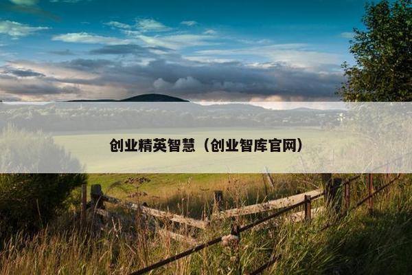 创业精英智慧（创业智库官网）