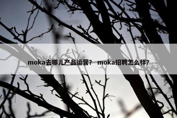 moka去哪儿产品运营？ moka招聘怎么样？