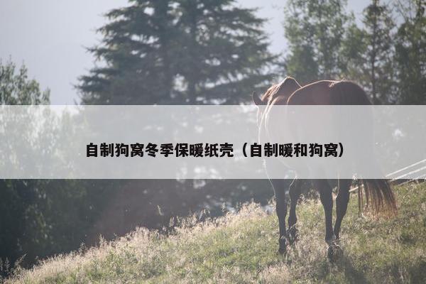 自制狗窝冬季保暖纸壳（自制暖和狗窝）