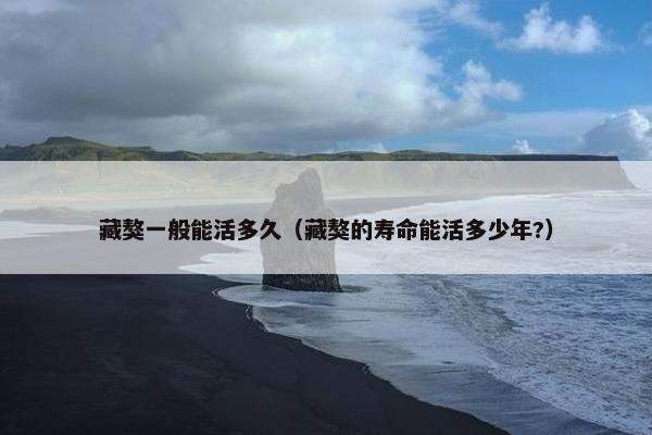 藏獒一般能活多久（藏獒的寿命能活多少年?）