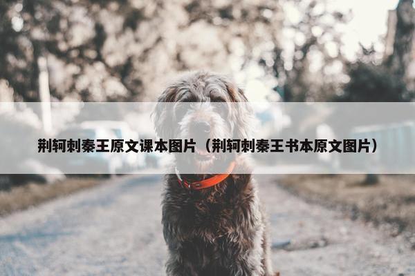 荆轲刺秦王原文课本图片（荆轲刺秦王书本原文图片）