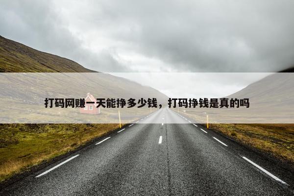 打码网赚一天能挣多少钱，打码挣钱是真的吗