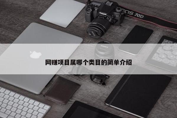 网赚项目属哪个类目的简单介绍