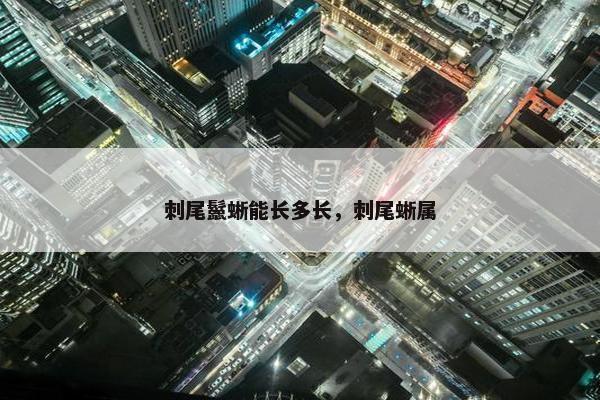 刺尾鬣蜥能长多长，刺尾蜥属