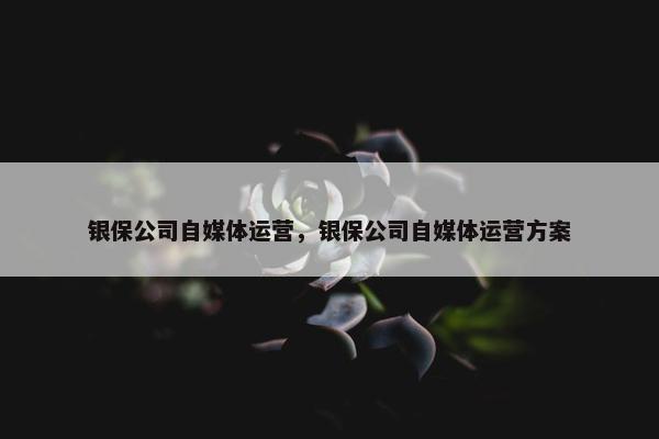 银保公司自媒体运营，银保公司自媒体运营方案