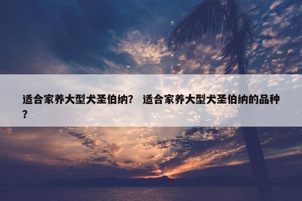 适合家养大型犬圣伯纳？ 适合家养大型犬圣伯纳的品种？