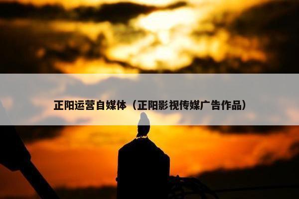 正阳运营自媒体（正阳影视传媒广告作品）