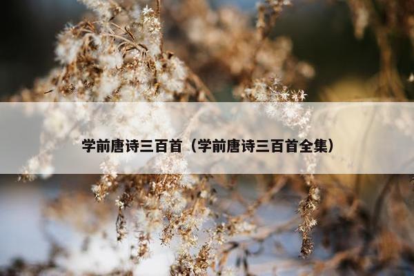 学前唐诗三百首（学前唐诗三百首全集）