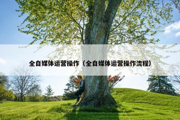 全自媒体运营操作（全自媒体运营操作流程）