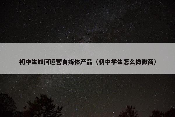 初中生如何运营自媒体产品（初中学生怎么做微商）
