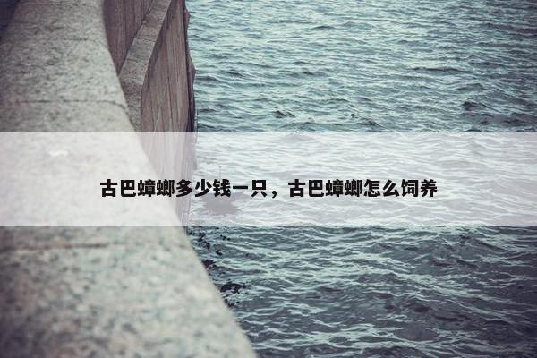 古巴蟑螂多少钱一只，古巴蟑螂怎么饲养