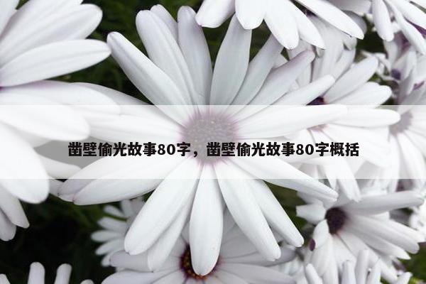 凿壁偷光故事80字，凿壁偷光故事80字概括