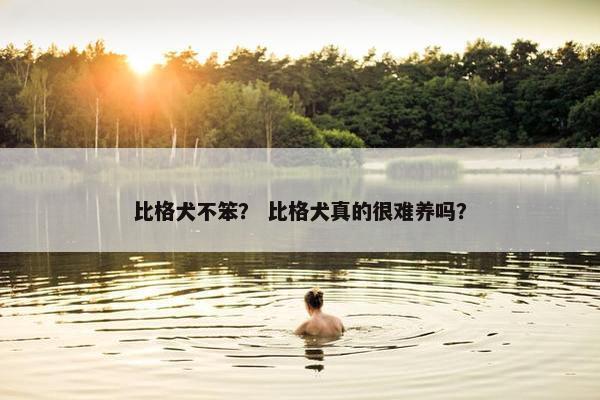 比格犬不笨？ 比格犬真的很难养吗？