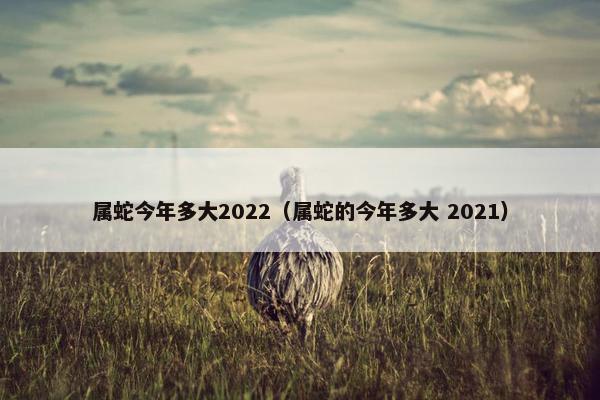 属蛇今年多大2022（属蛇的今年多大 2021）