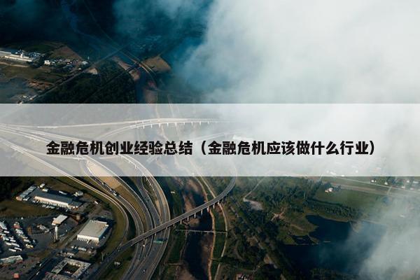 金融危机创业经验总结（金融危机应该做什么行业）