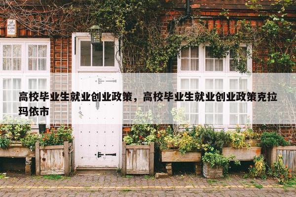 高校毕业生就业创业政策，高校毕业生就业创业政策克拉玛依市