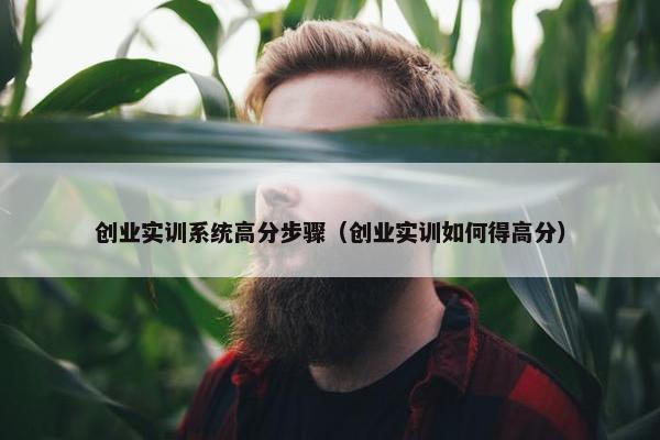 创业实训系统高分步骤（创业实训如何得高分）