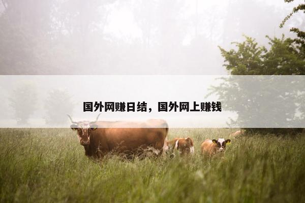 国外网赚日结，国外网上赚钱