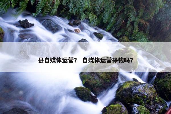 县自媒体运营？ 自媒体运营挣钱吗？