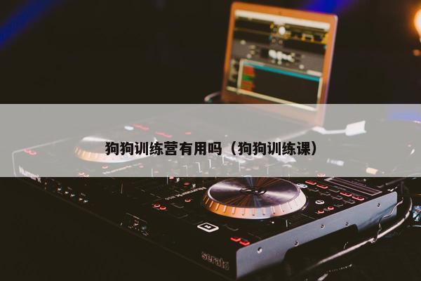 狗狗训练营有用吗（狗狗训练课）