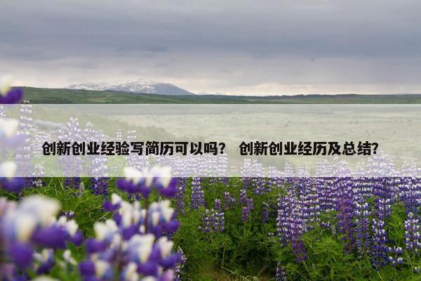 创新创业经验写简历可以吗？ 创新创业经历及总结？
