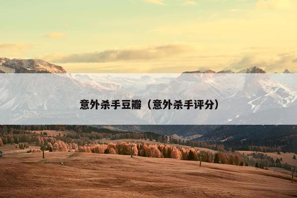 意外杀手豆瓣（意外杀手评分）