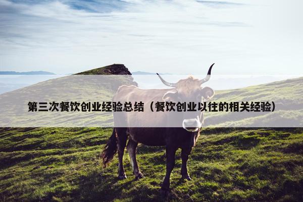 第三次餐饮创业经验总结（餐饮创业以往的相关经验）