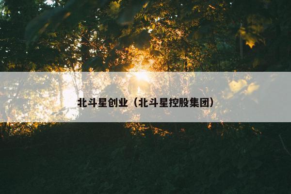 北斗星创业（北斗星控股集团）