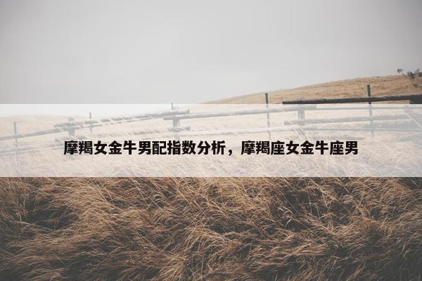 摩羯女金牛男配指数分析，摩羯座女金牛座男
