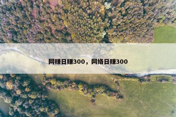 网赚日赚300，网络日赚300