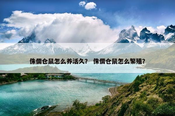 侏儒仓鼠怎么养活久？ 侏儒仓鼠怎么繁殖？