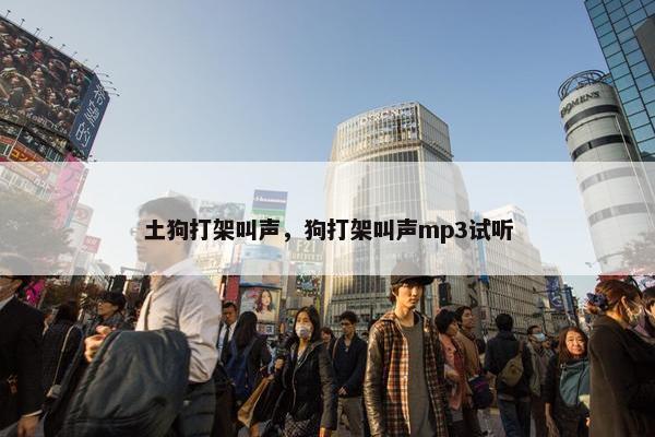 土狗打架叫声，狗打架叫声mp3试听