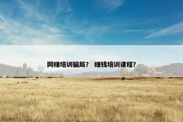 网赚培训骗局？ 赚钱培训课程？