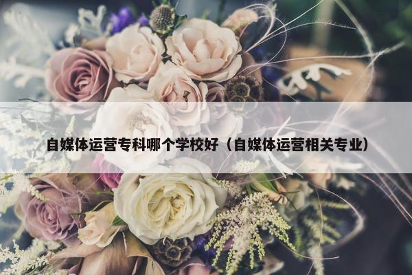 自媒体运营专科哪个学校好（自媒体运营相关专业）