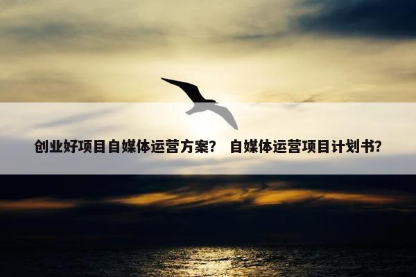 创业好项目自媒体运营方案？ 自媒体运营项目计划书？