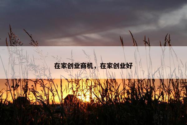 在家创业商机，在家创业好
