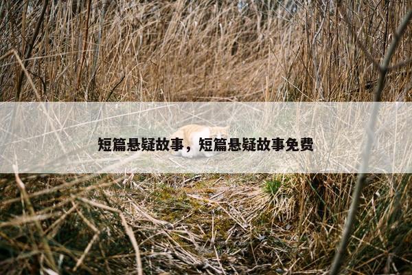 短篇悬疑故事，短篇悬疑故事免费