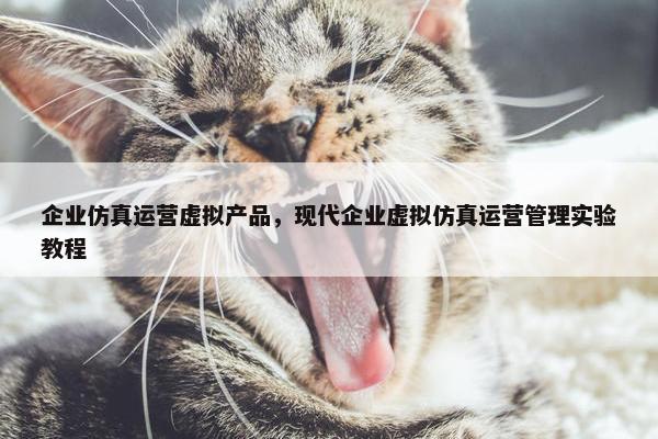 企业仿真运营虚拟产品，现代企业虚拟仿真运营管理实验教程