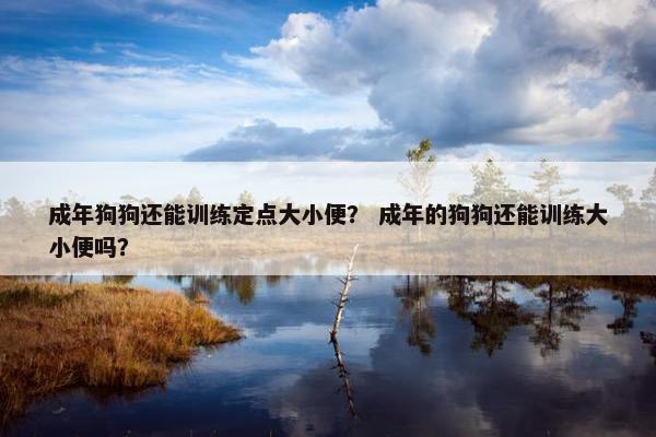 成年狗狗还能训练定点大小便？ 成年的狗狗还能训练大小便吗？