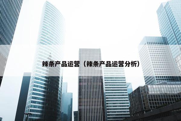 辣条产品运营（辣条产品运营分析）