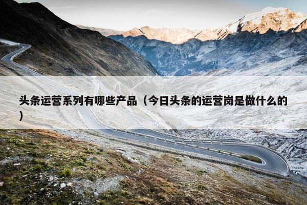 头条运营系列有哪些产品（今日头条的运营岗是做什么的）