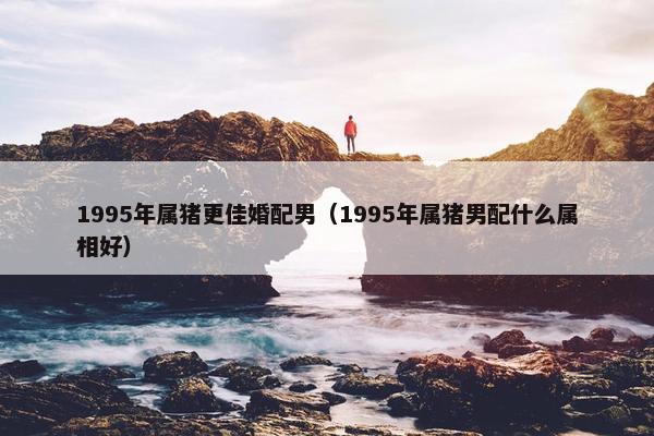 1995年属猪更佳婚配男（1995年属猪男配什么属相好）