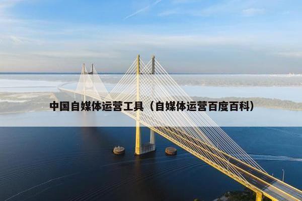 中国自媒体运营工具（自媒体运营百度百科）