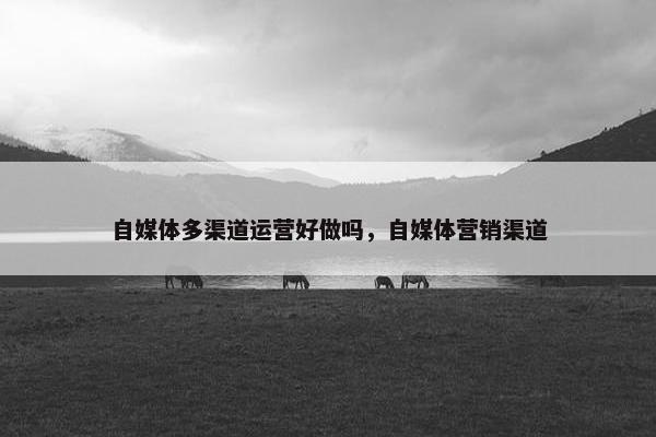 自媒体多渠道运营好做吗，自媒体营销渠道