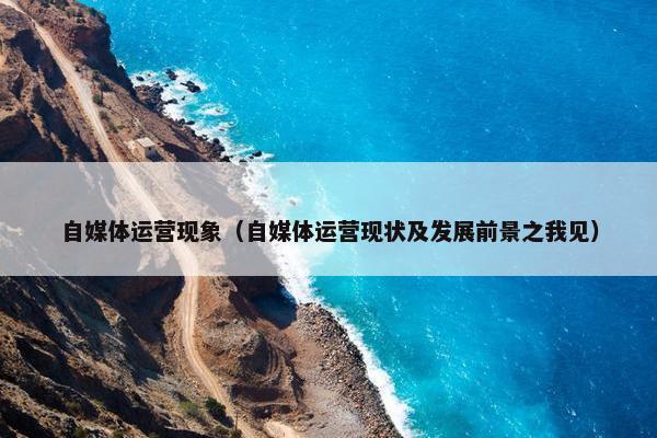 自媒体运营现象（自媒体运营现状及发展前景之我见）