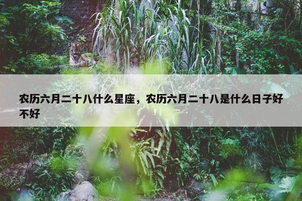 农历六月二十八什么星座，农历六月二十八是什么日子好不好
