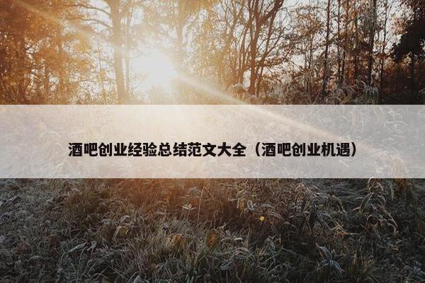 酒吧创业经验总结范文大全（酒吧创业机遇）