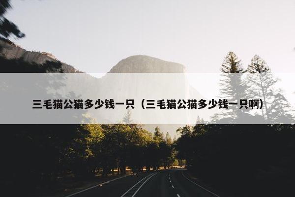 三毛猫公猫多少钱一只（三毛猫公猫多少钱一只啊）