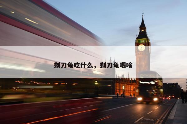 剃刀龟吃什么，剃刀龟喂啥