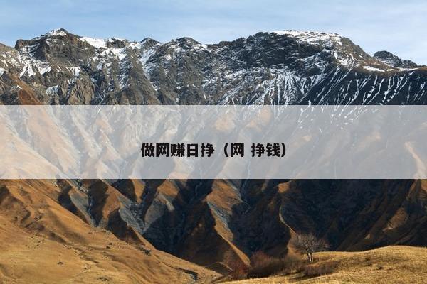 做网赚日挣（网 挣钱）